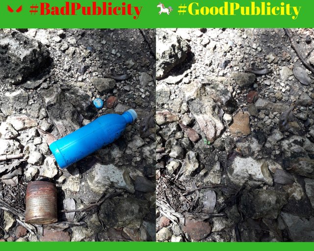 #Bad499.jpg
