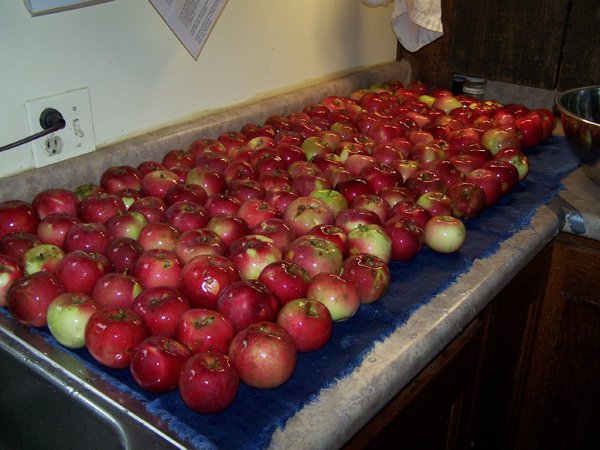 Vinegar - apples washed crop Oct. 2018.jpg