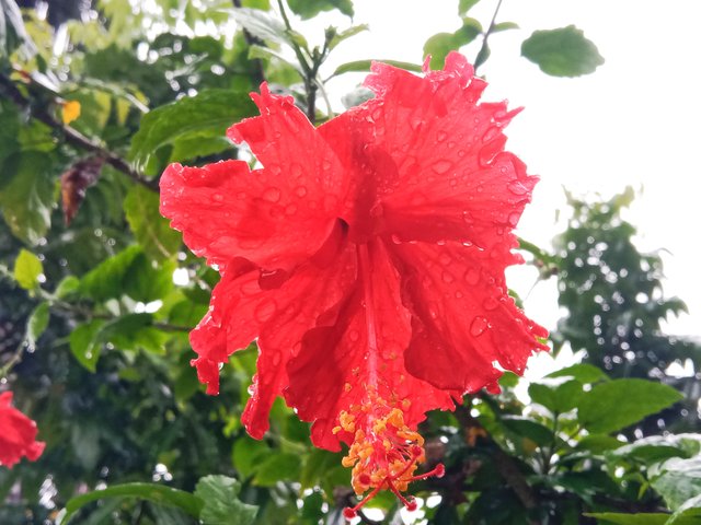 IMG_20250928_140953.jpg