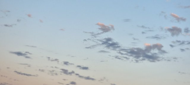 1000031743.jpg