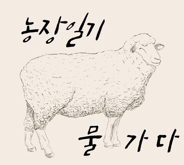 1 sheep.jpg