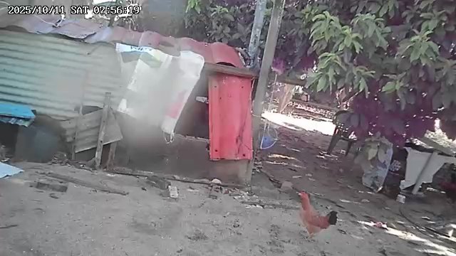 1000296571.jpg