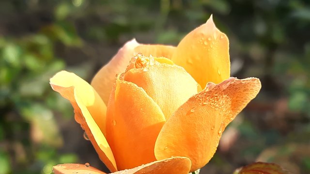 20210125_092025.jpg