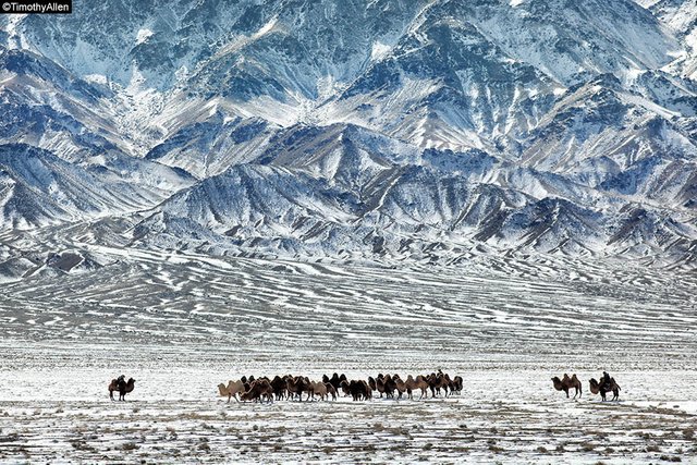 Mongolia-Gobi-W-Timothy-Allen-1528.jpg