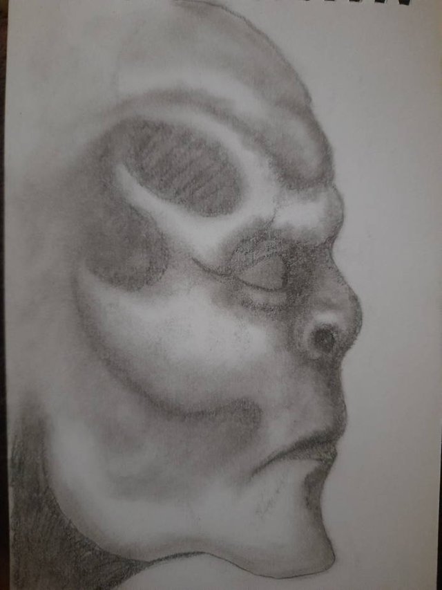 20250726_103831.jpg