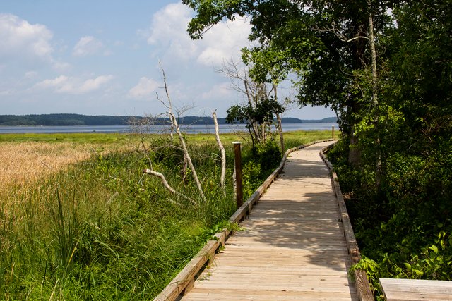 Boardwalk_4.jpg