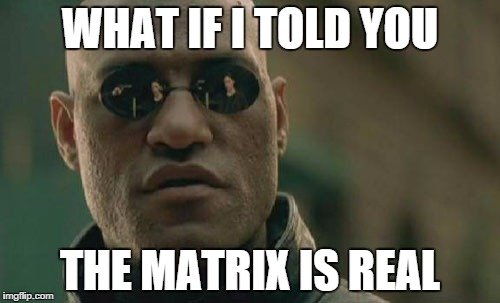 Morpheus-meme-matrix-is-real.jpg