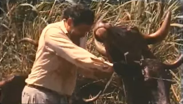 diles 5.jpg