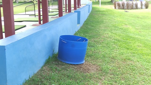 IMG_20250620_101321.jpg