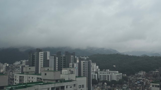 1000136090.jpg