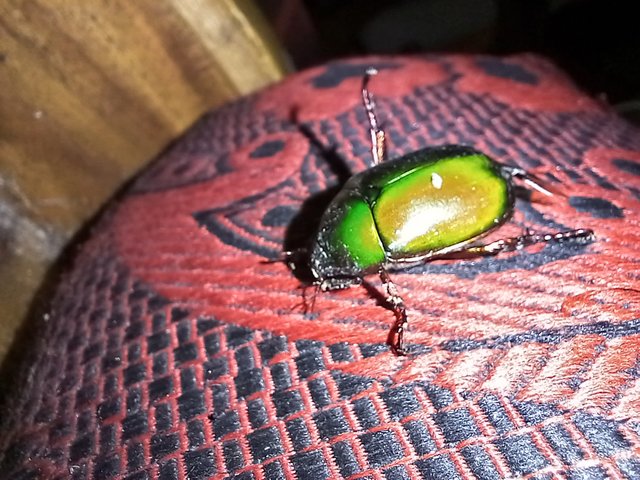 20230829_191111.jpg