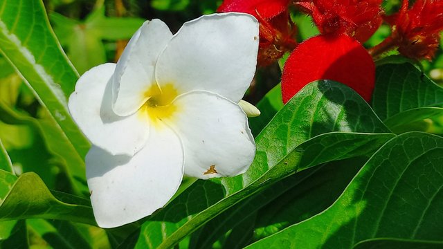 20221026_114218.jpg