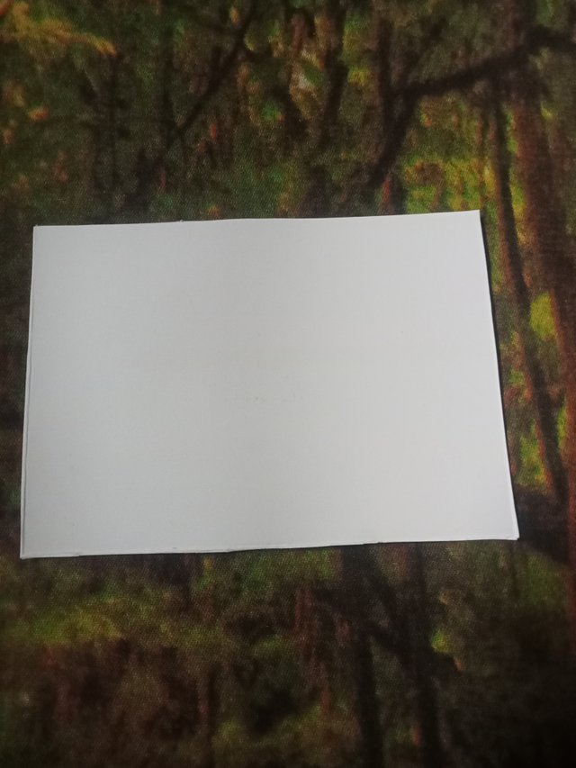 IMG20250523151018.jpg