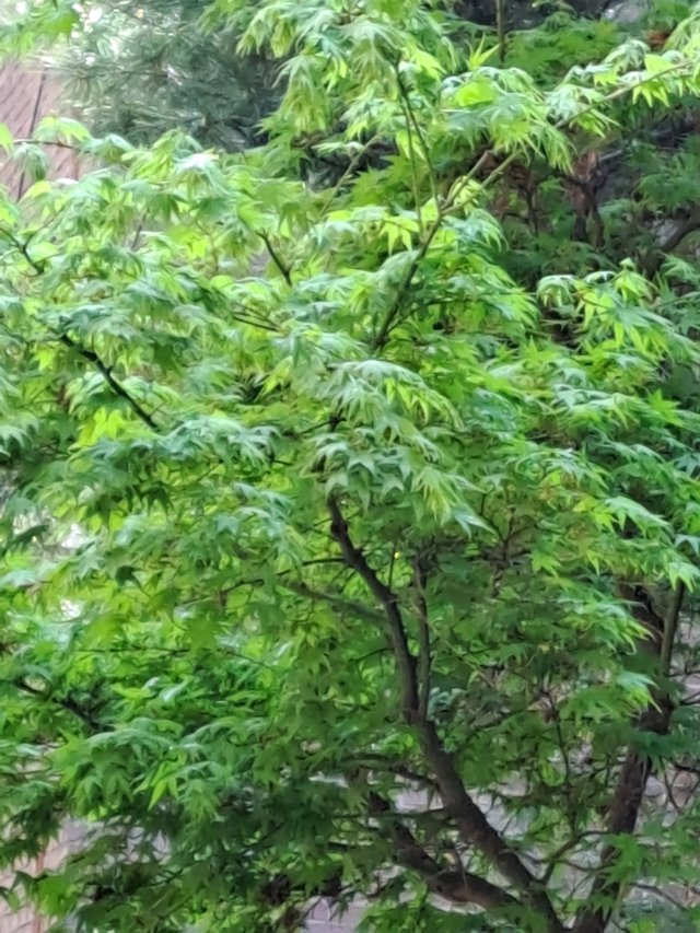 20220415_144803.jpg