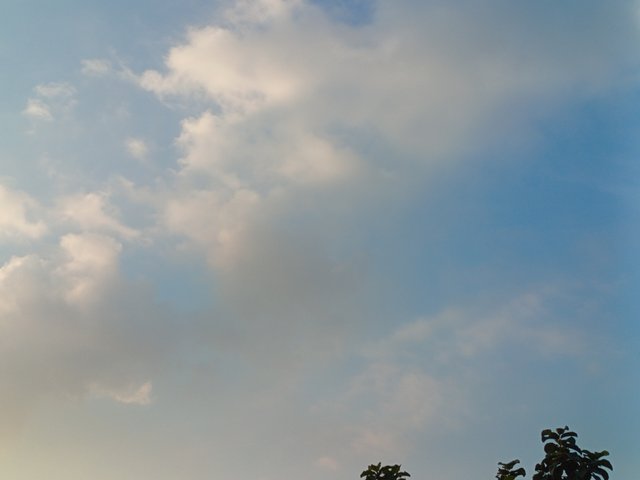 1000217430.jpg