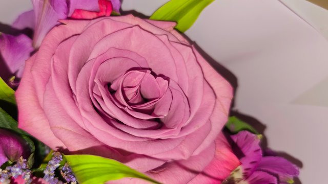 20250728_200653.jpg