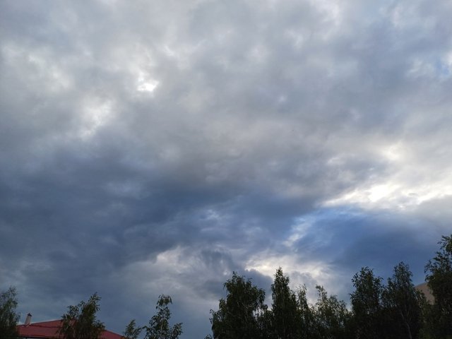 20250702_061107.jpg