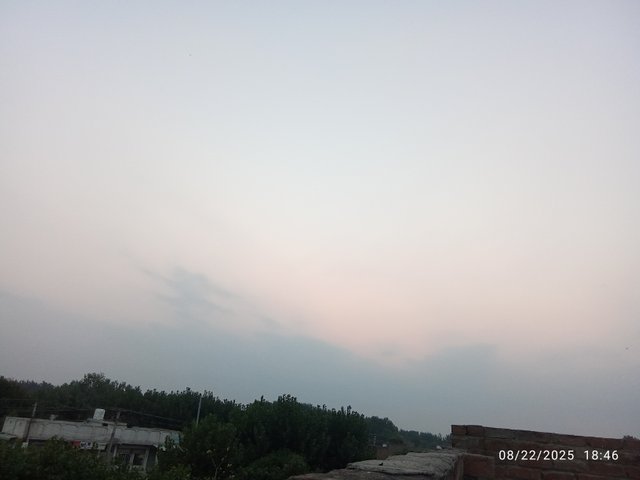 1000091474.jpg