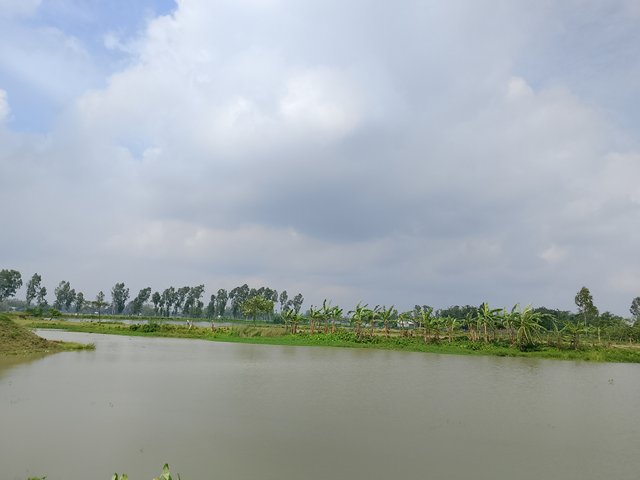 1000046181.jpg