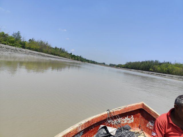 IMG_20250502_104458.jpg