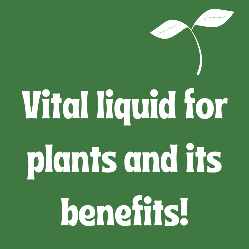 Green and white tropical plant logo.png