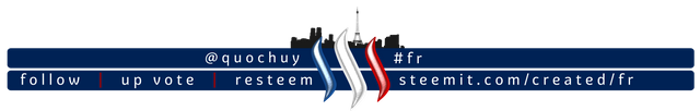 Communauté Française sur Steemit