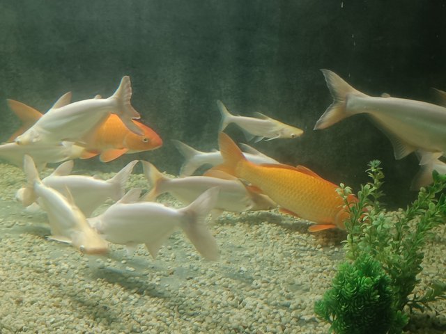 IMG20250103115127.jpg