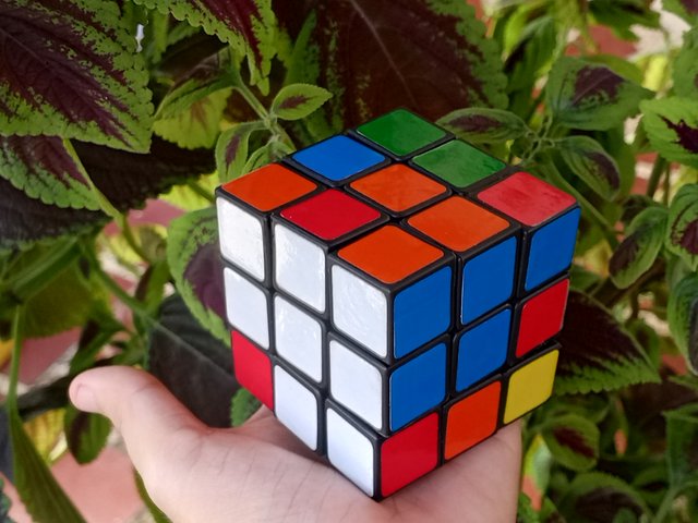 1000056231.jpg