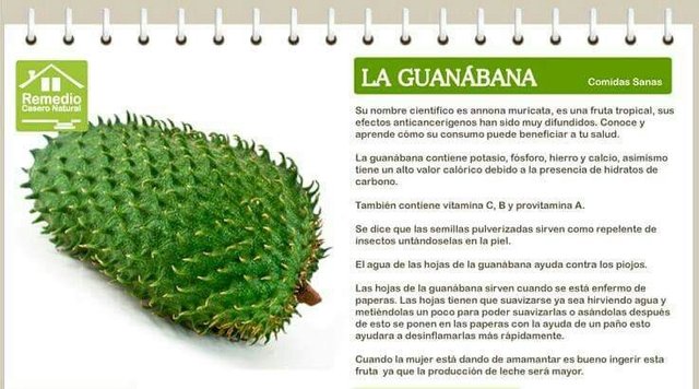 Guanabana...jpg