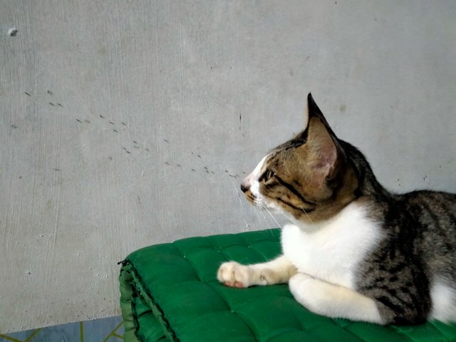 IMG20251009214712.jpg