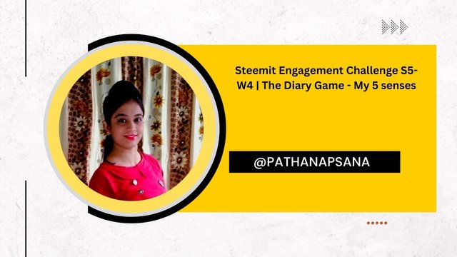 Steemit Engagement Challenge S5-W4  The Diary Game - My 5 senses.jpg