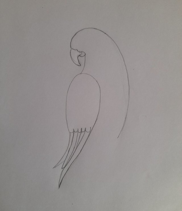 20250324_171117.jpg