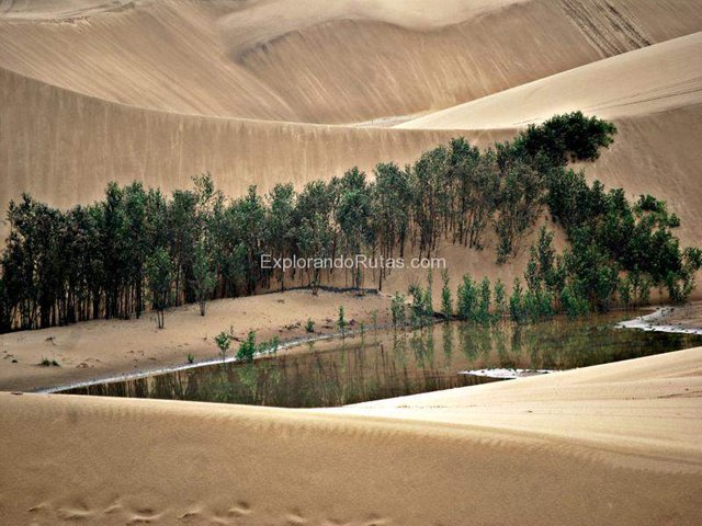 Medanos-de-Coro_800x600.jpg