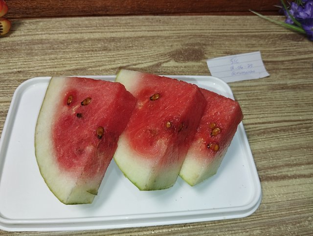 IMG_20250618_164151.jpg
