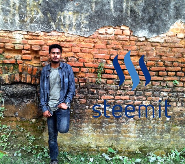 new steem it photo .jpg