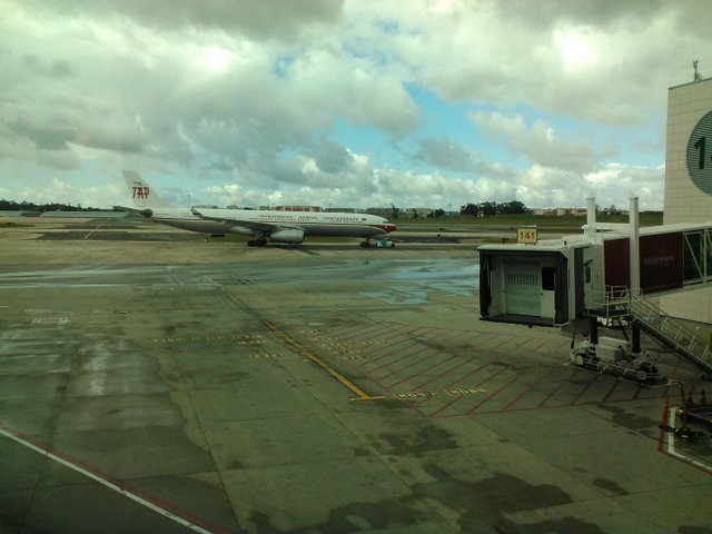 Plane Photography, SteemFest2 Return Tap Plane Runway, 4 Nov 2017.jpg