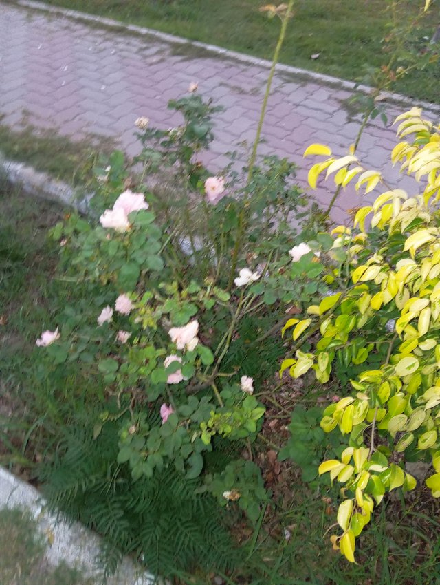 1000577510.jpg