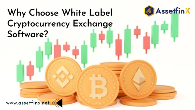 reasons-for-choosing-white-label-crypto-exchange-software.png