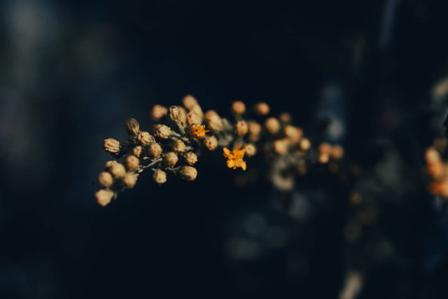 6050A9E0-C181-47BD-8069-020B6064DBB3.jpeg