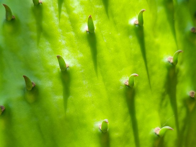 20250829_112002.jpg