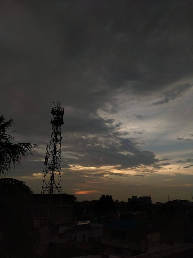 WhatsApp Image 2022-01-05 at 11.00.03 AM.jpeg