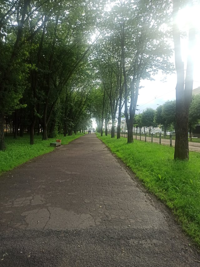IMG_20250612_175500.jpg