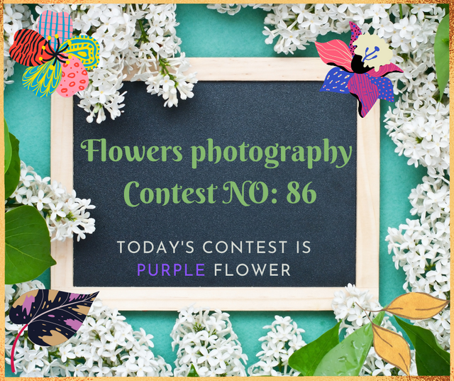 Flowers photography Contest (4).png