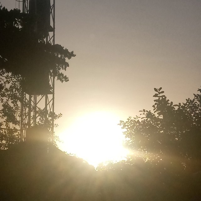 IMG_20250530_182317_8.jpg