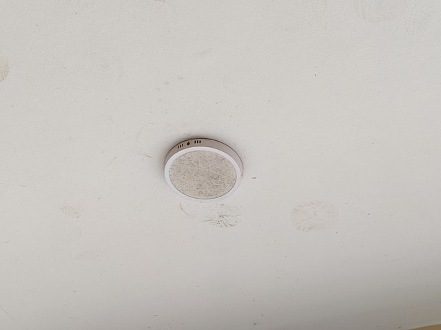 1000051010.jpg