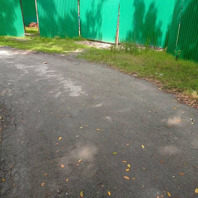 IMG_20250915_100045.jpg