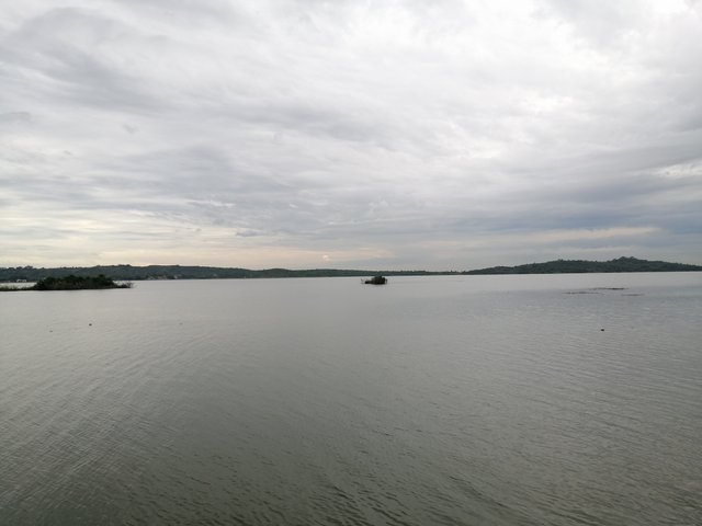 IMG_20200831_160328.jpg