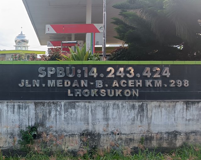 1000058243.jpg