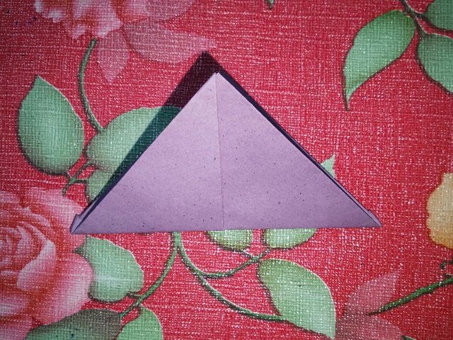 IMG20250629214944.jpg