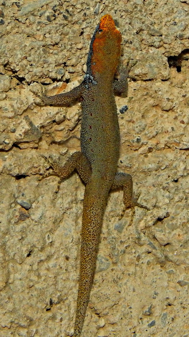 DSCN8177.jpg